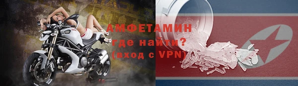 индика Нязепетровск