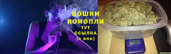 индика Нязепетровск