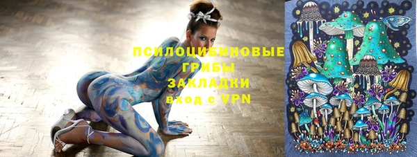 прущая мука Новозыбков