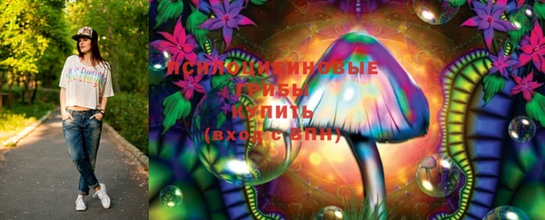 герыч Няндома