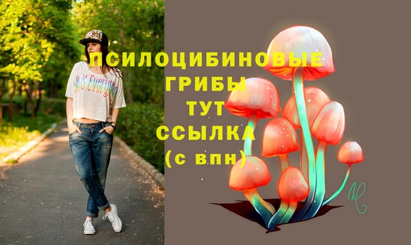 дмт Дмитров