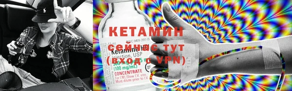 дмт Дмитров